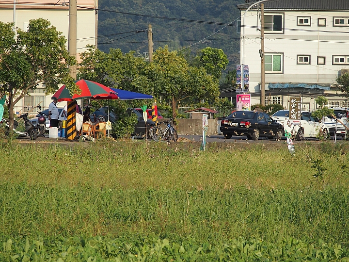 美濃鎮拔蘿蔔、林家民宿、鍾家醃蘿蔔、888粄條，愉快美濃行！