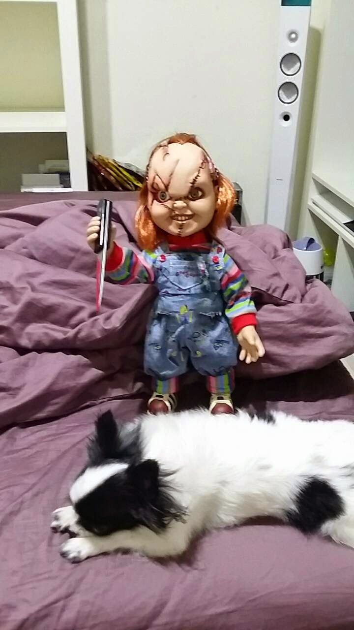 MEZCO TOYZ CHUCKY 靈異七殺~15吋~鬼娃恰吉~開箱