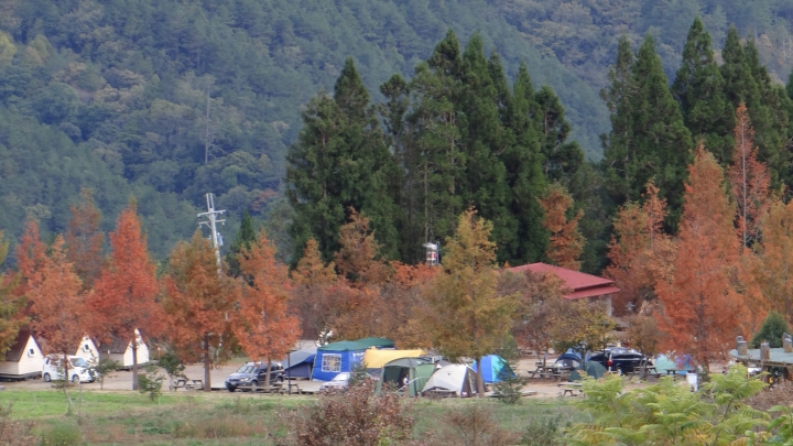 On the road again  2014/11/24 初冬的武陵
