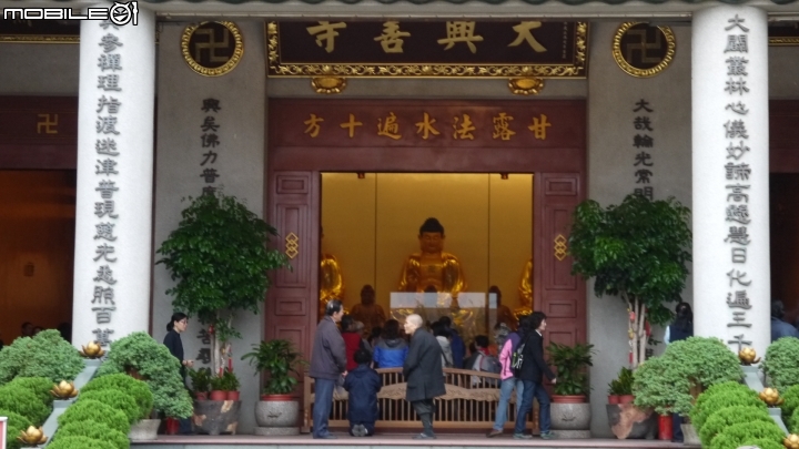 苗栗九湖賞杭菊.九華山禮佛散步遊
