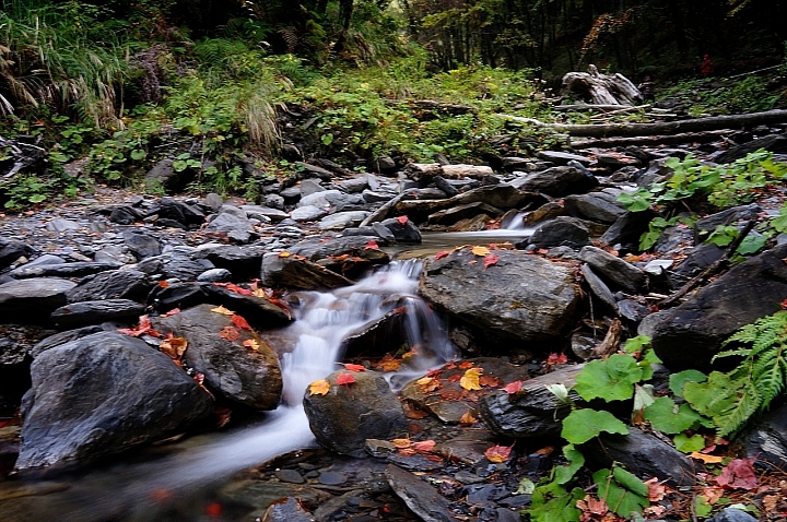 Nex5n 雨中漫遊福壽山