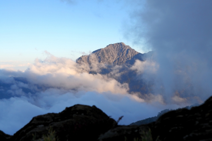 純分享~ 武陵銀杏、福壽楓紅、合歡山景