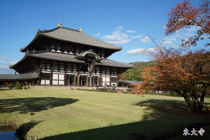 第一次京都、奈良行