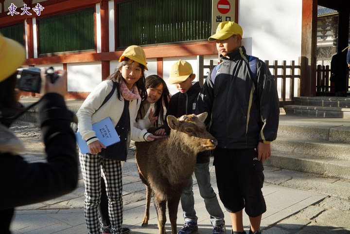 第一次京都、奈良行