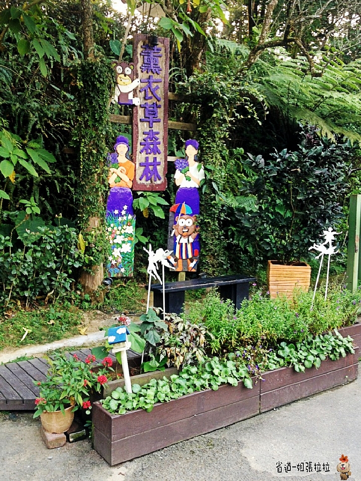 省道一姐微甜旅行，薇甜花海起跑