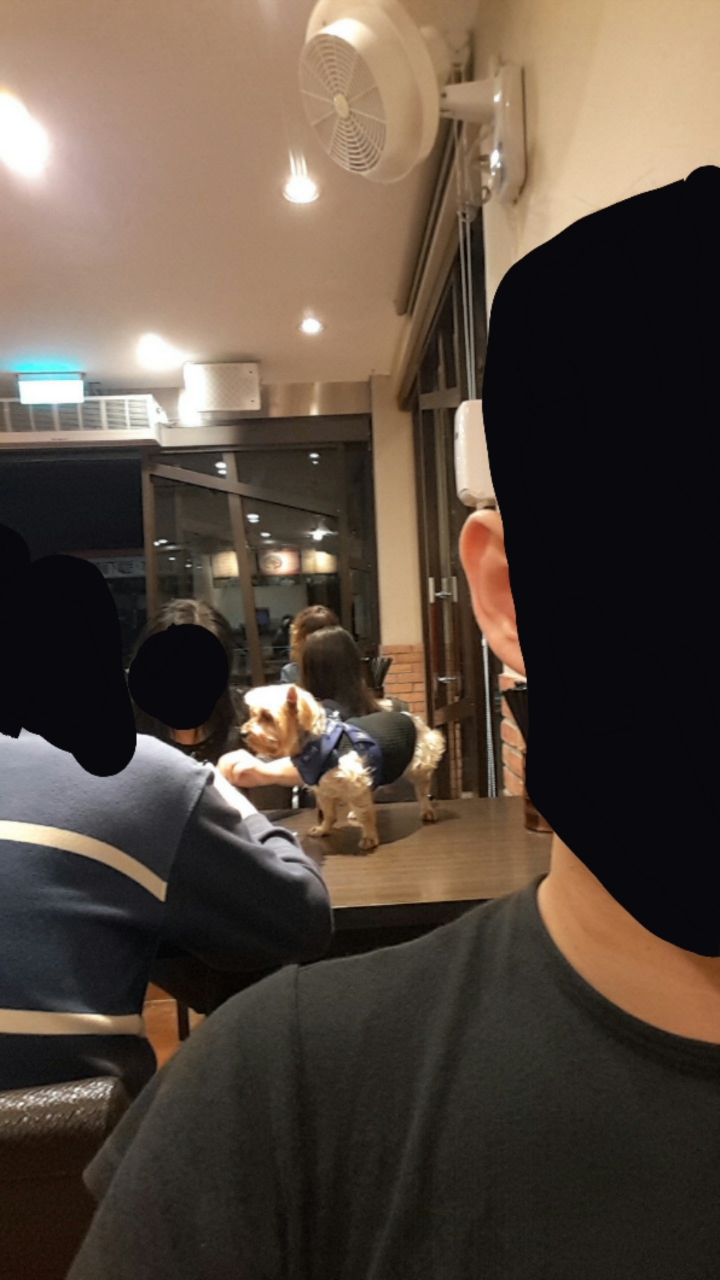 連狗都可以上餐桌的 淡水黑殿排骨飯