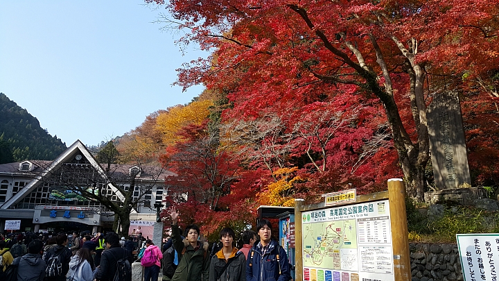NOTE 4 旅遊東京 照片分享 (圖多)