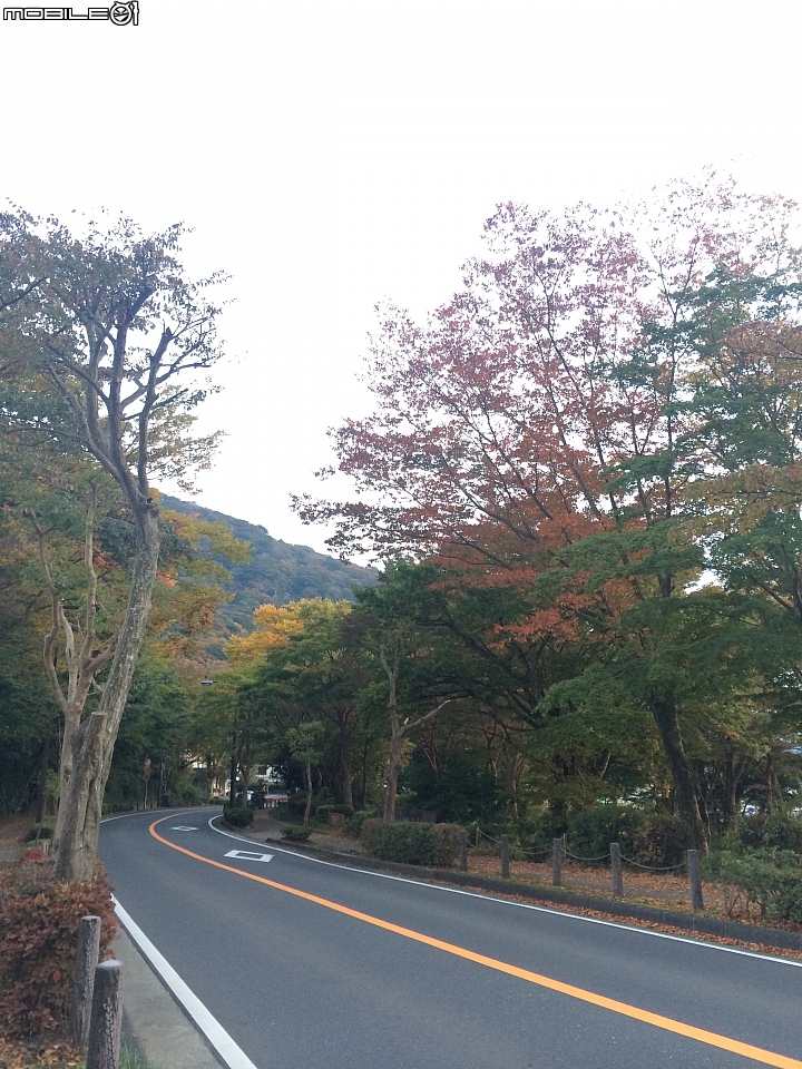 遊記分享~余小牛浪跡天涯-日本東京篇-day2