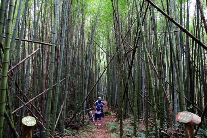 石壁木馬古道O型環狀越嶺單車騎