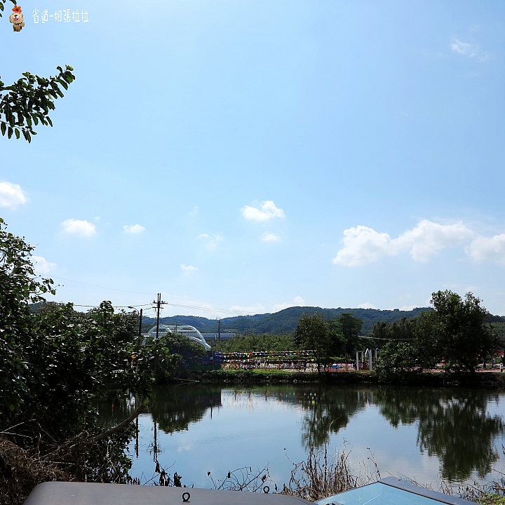 省道一姐微甜旅行，薇甜花海起跑