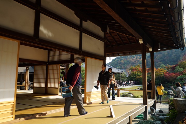 金閣寺 渡月橋 天龍寺的楓葉情況
