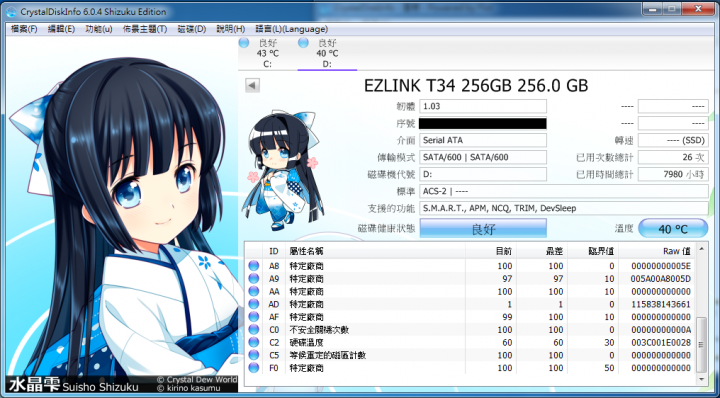 Ezlink T-34 256GB 壽命測試 (2015/3/22更新)~終點。