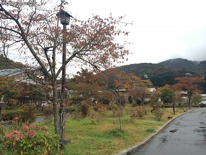 遊記分享~余小牛浪跡天涯-日本東京篇-day 3