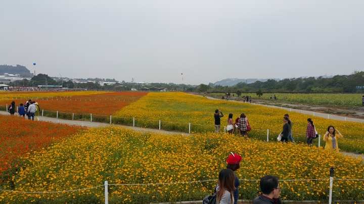 2014 (NOTE4) 新社花海新手拍拍