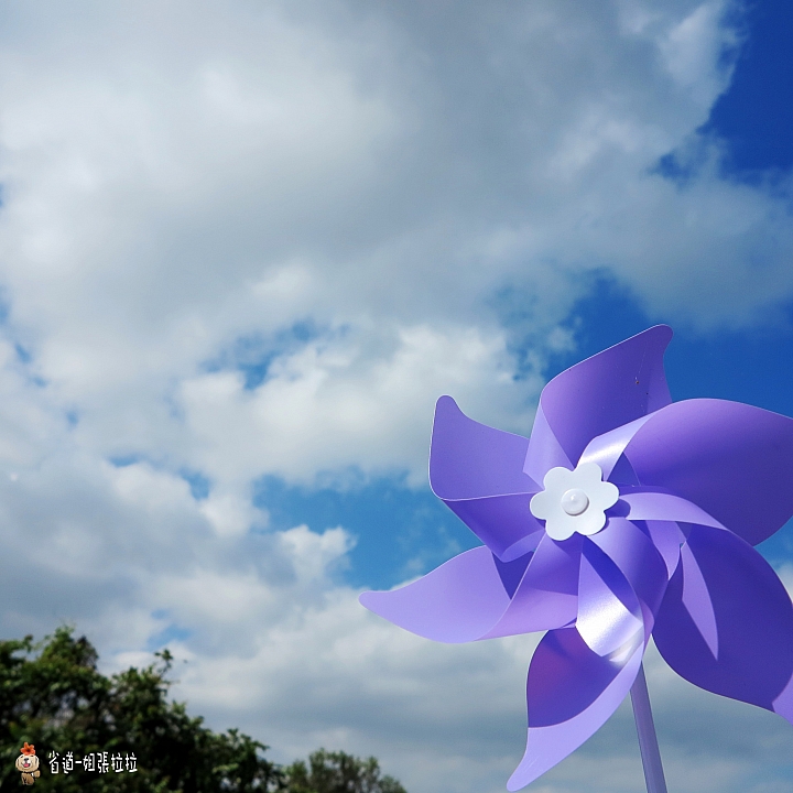 省道一姐微甜旅行，薇甜花海起跑
