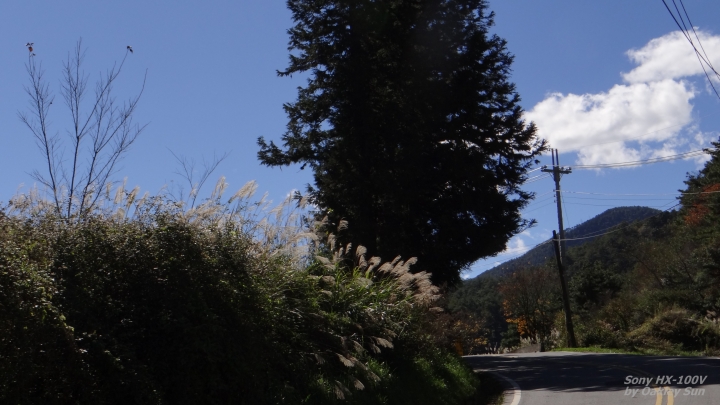 On the road again  2014/11/24 初冬的武陵
