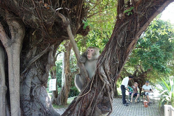 八天七夜四極點環島之旅