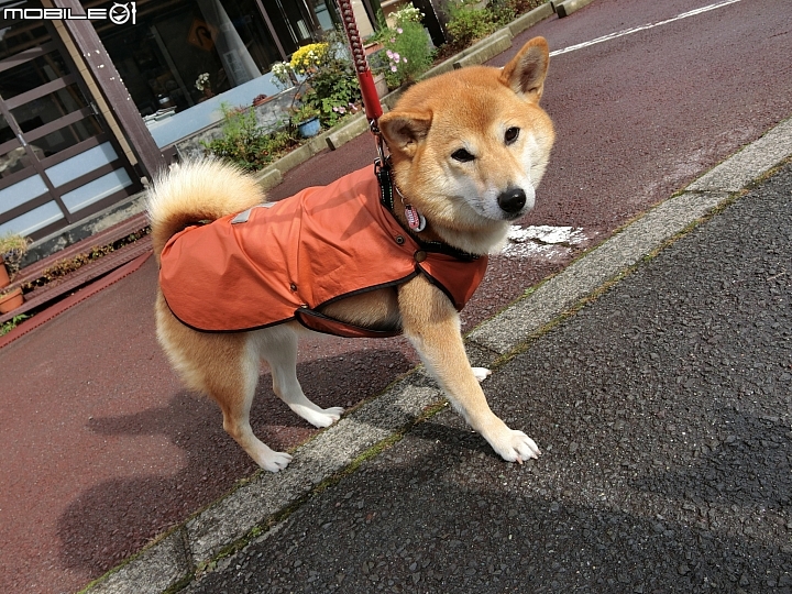 遊記分享~余小牛浪跡天涯-日本東京篇-day 3