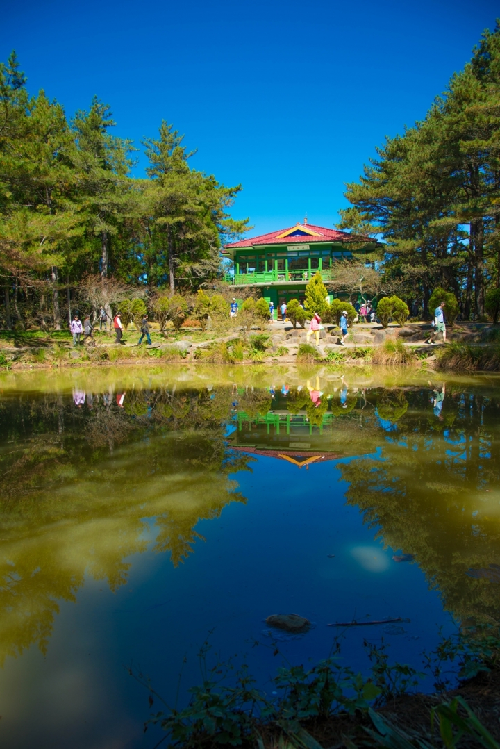 福壽山楓紅103/11/1-d800+24-120mm