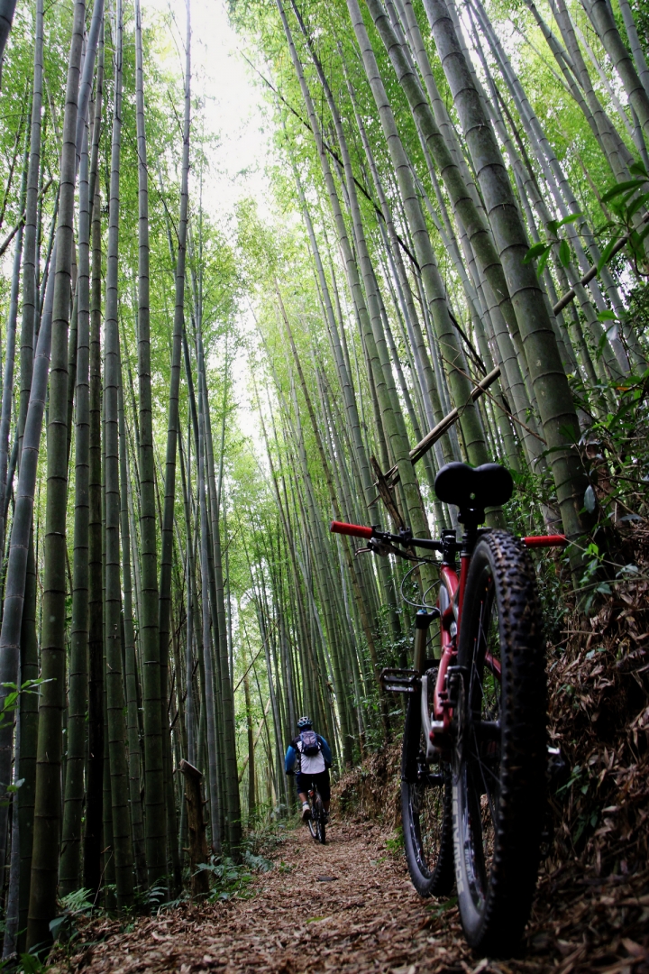 石壁木馬古道O型環狀越嶺單車騎