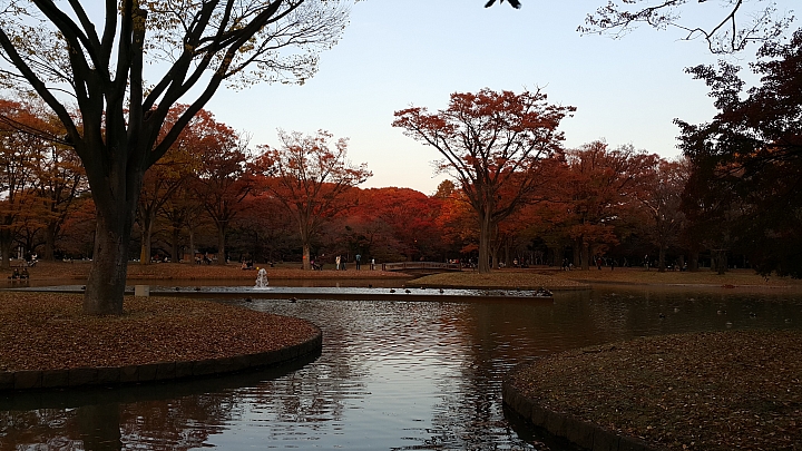 NOTE 4 旅遊東京 照片分享 (圖多)