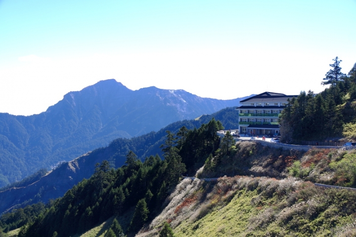 純分享~ 武陵銀杏、福壽楓紅、合歡山景