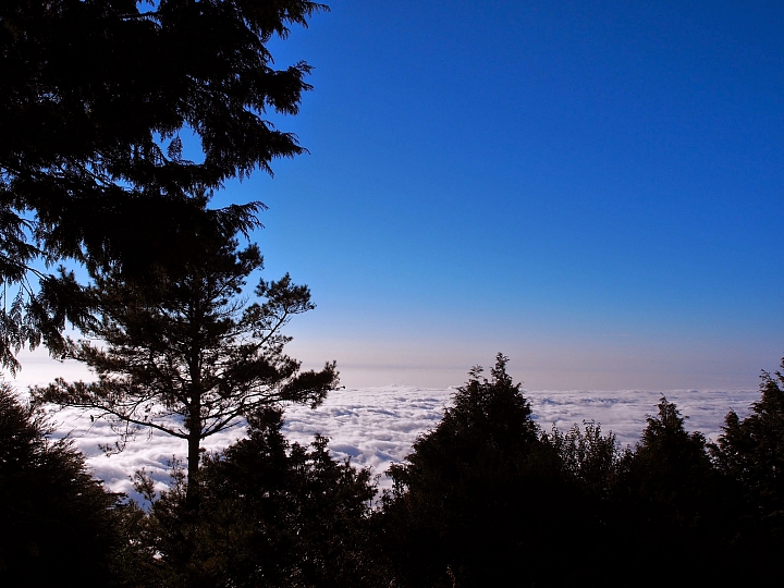 2014 深秋大雪山森林漫遊攻略