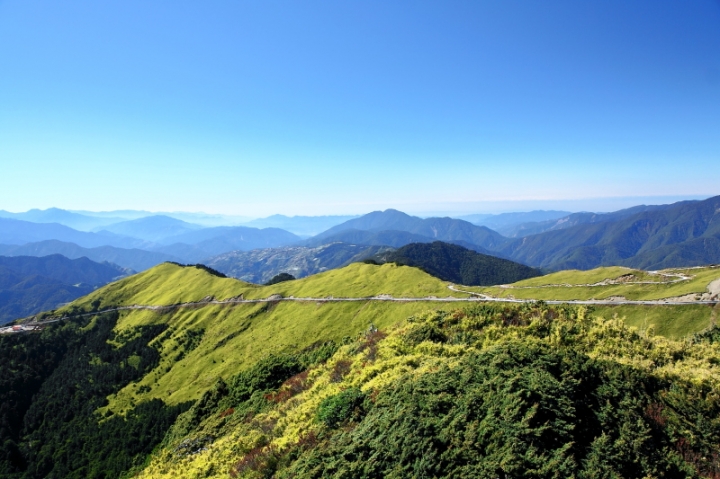 純分享~ 武陵銀杏、福壽楓紅、合歡山景