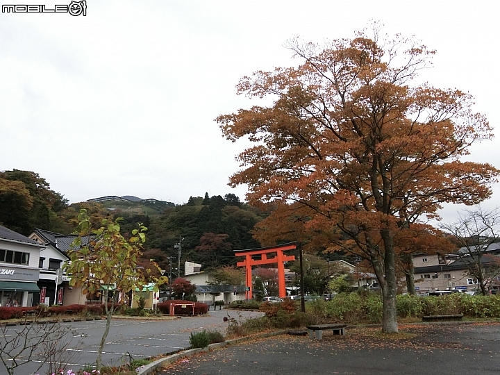 遊記分享~余小牛浪跡天涯-日本東京篇-day 3