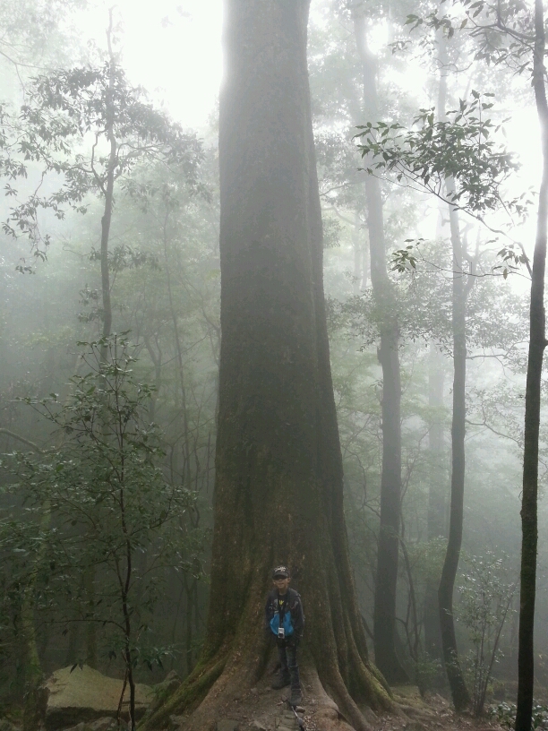 360度的視野和刺激……鳶嘴山
