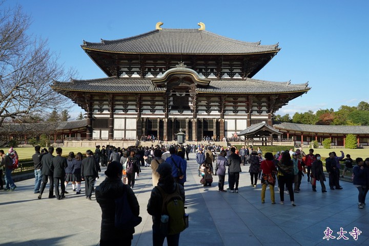 第一次京都、奈良行