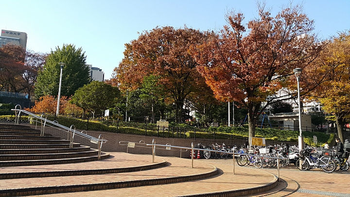 NOTE 4 旅遊東京 照片分享 (圖多)