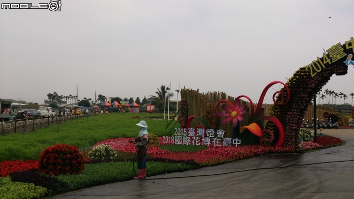 台中新社花海偷窺遊