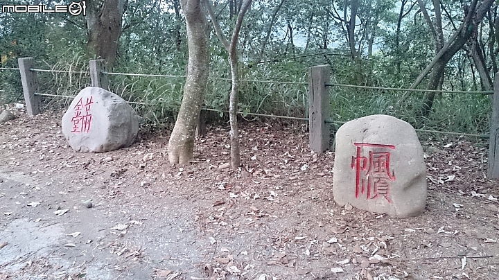 員林Ubike微笑笑笑到微熱山丘玩