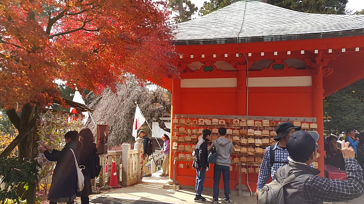 NOTE 4 旅遊東京 照片分享 (圖多)