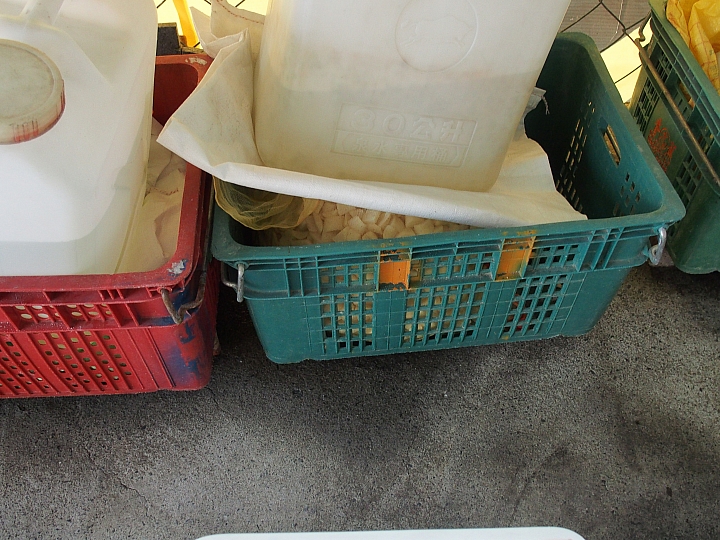 美濃鎮拔蘿蔔、林家民宿、鍾家醃蘿蔔、888粄條，愉快美濃行！
