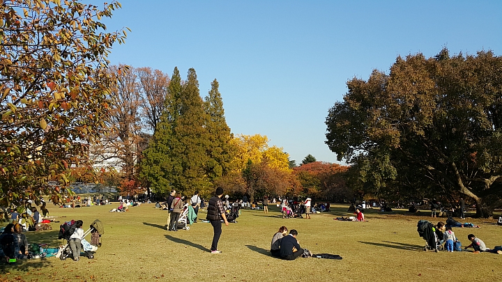 NOTE 4 旅遊東京 照片分享 (圖多)