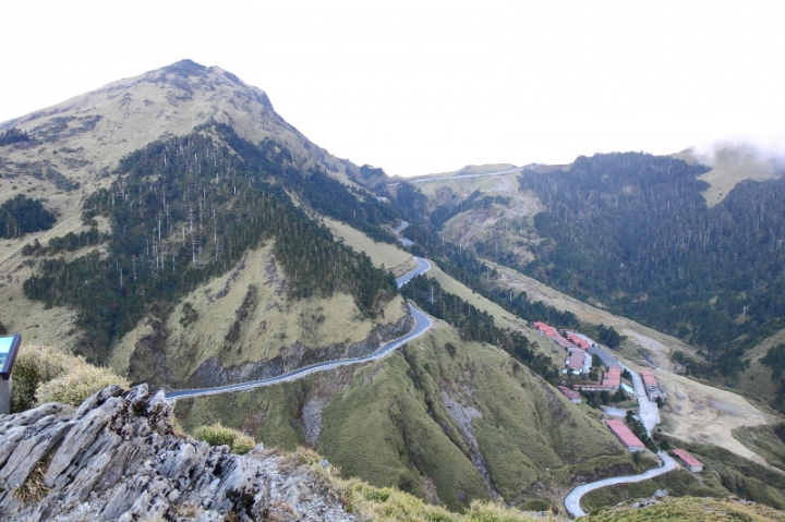 純分享~ 武陵銀杏、福壽楓紅、合歡山景