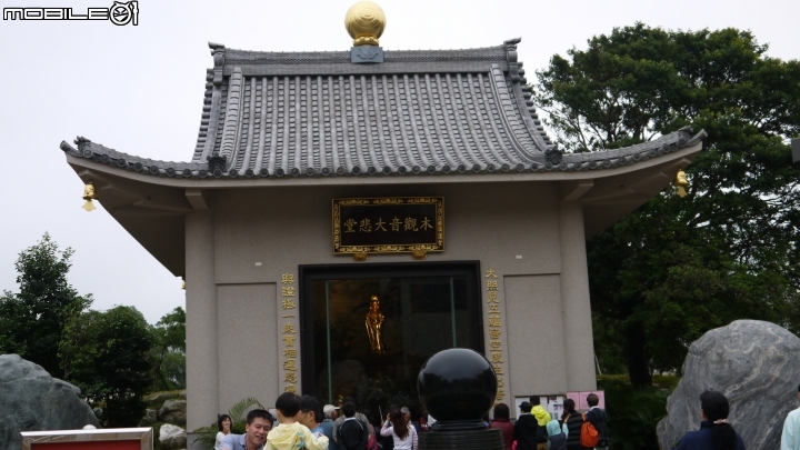 苗栗九湖賞杭菊.九華山禮佛散步遊