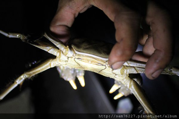 [食記] 宜蘭頭城 蘭楊蟹莊 零藥物台灣養殖蘭陽雪山蟹