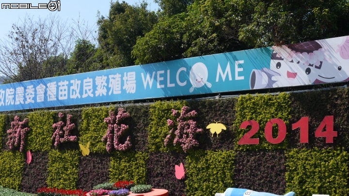 新社花海清晰遊