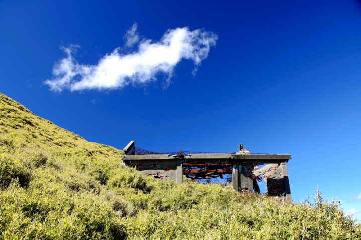純分享~ 武陵銀杏、福壽楓紅、合歡山景