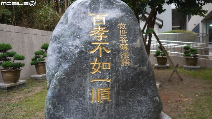 苗栗九湖賞杭菊.九華山禮佛散步遊