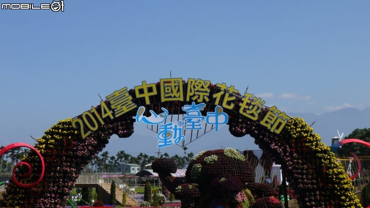 新社花海清晰遊