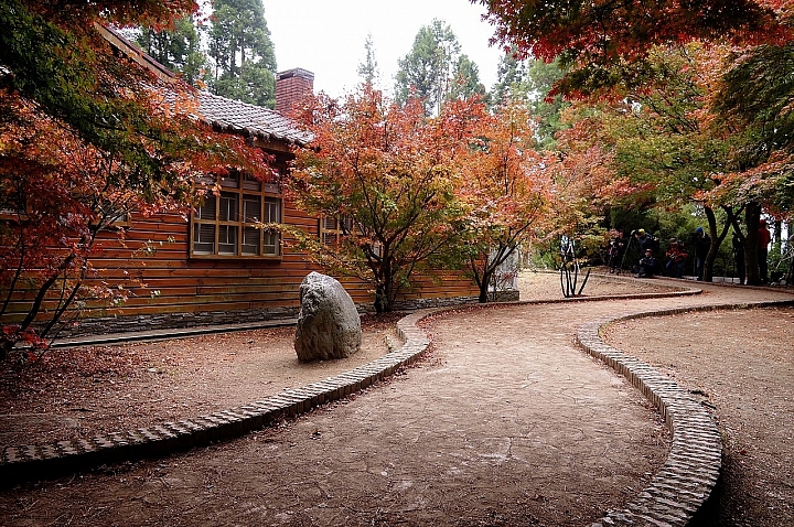 Nex5n 雨中漫遊福壽山