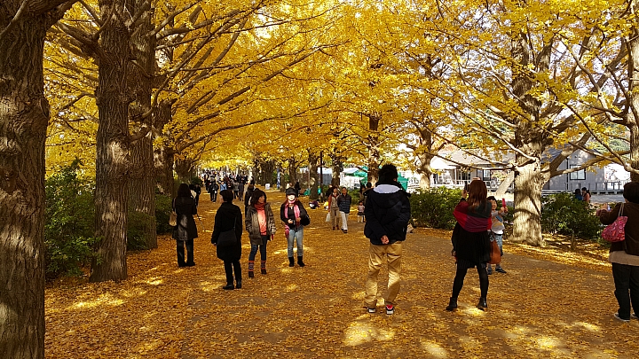 NOTE 4 旅遊東京 照片分享 (圖多)