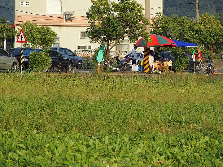 美濃鎮拔蘿蔔、林家民宿、鍾家醃蘿蔔、888粄條，愉快美濃行！