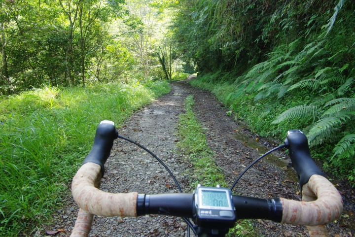 越野 公路 通吃的cyclocross