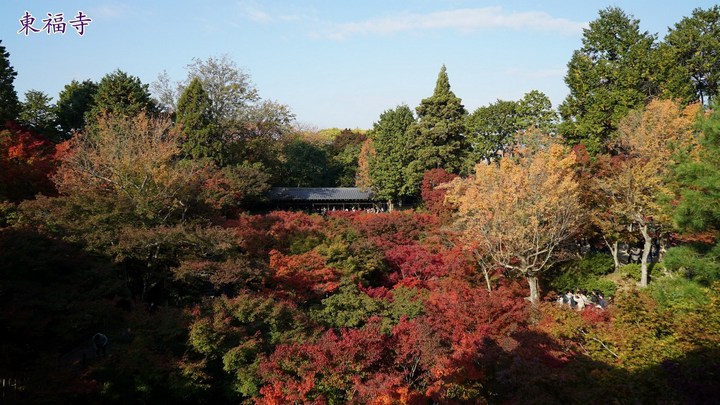 第一次京都、奈良行