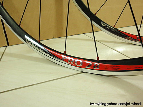 尋找ALEXRIMS PRO28輪組